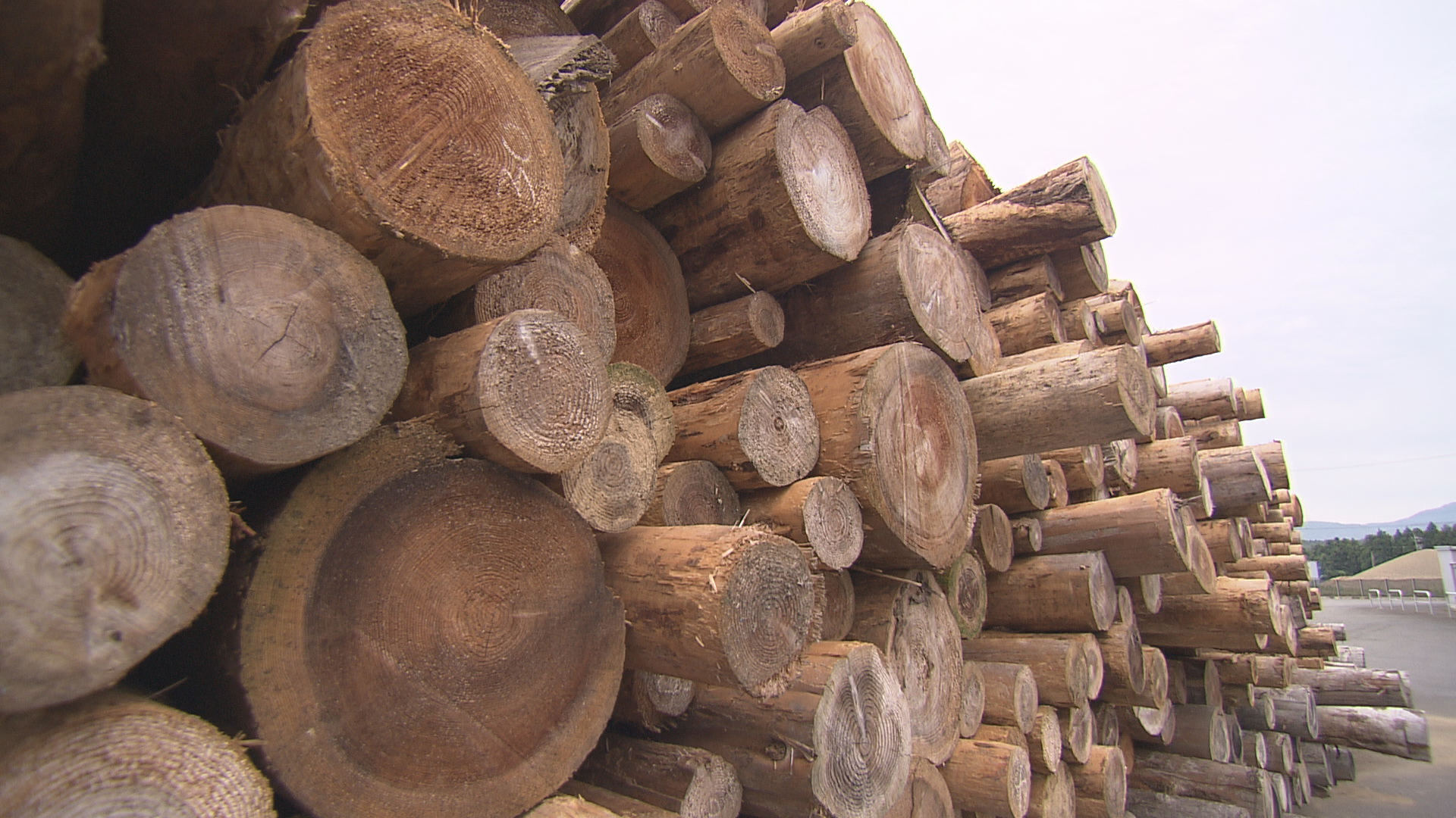 おじゃまっテレ ワイド ニュース Fbc I 福井放送