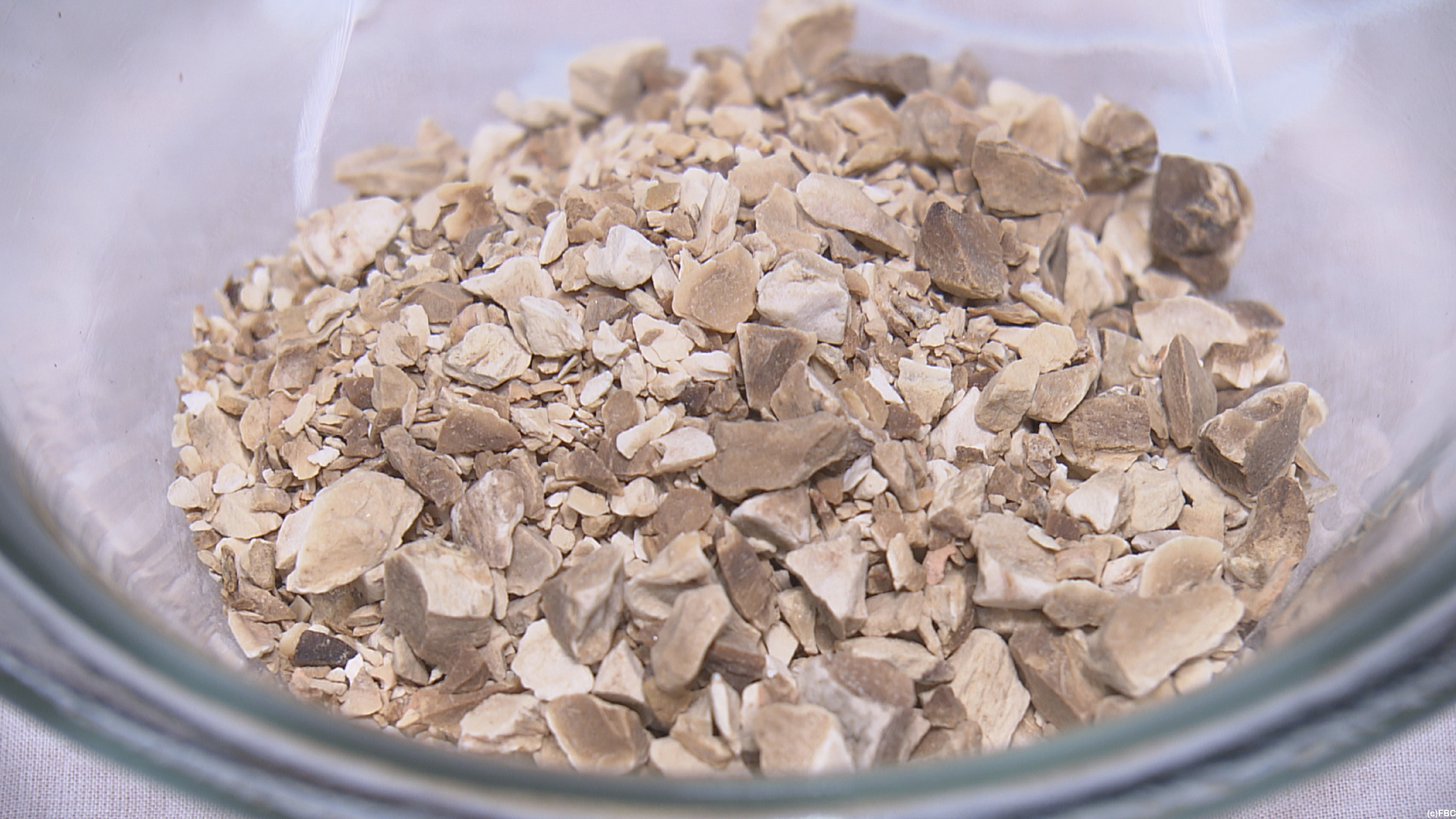 おじゃまっテレ ワイド ニュース Fbc I 福井放送