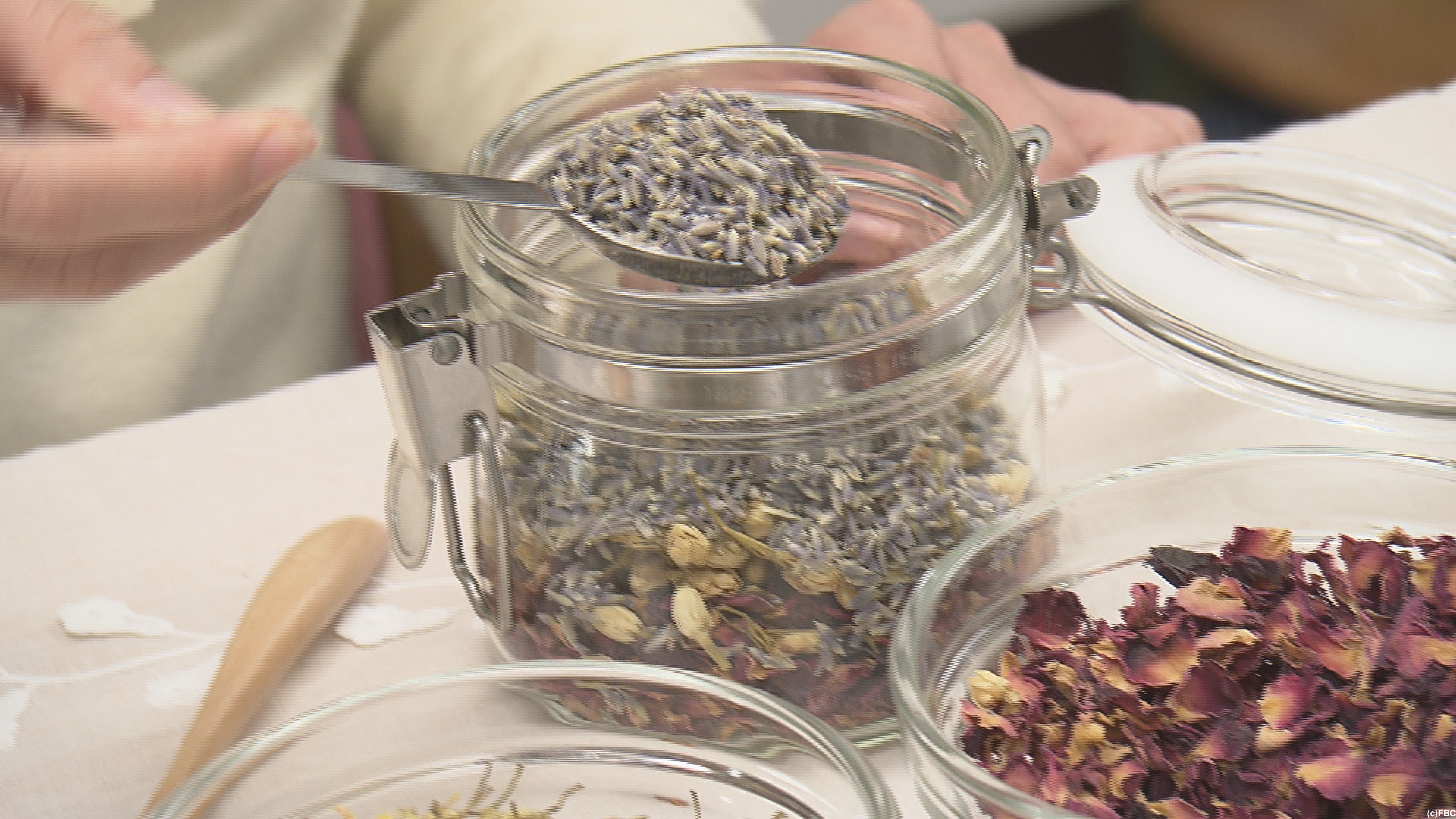 おじゃまっテレ ワイド ニュース Fbc I 福井放送