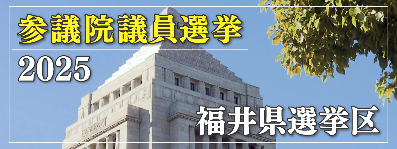 参議院選挙2025