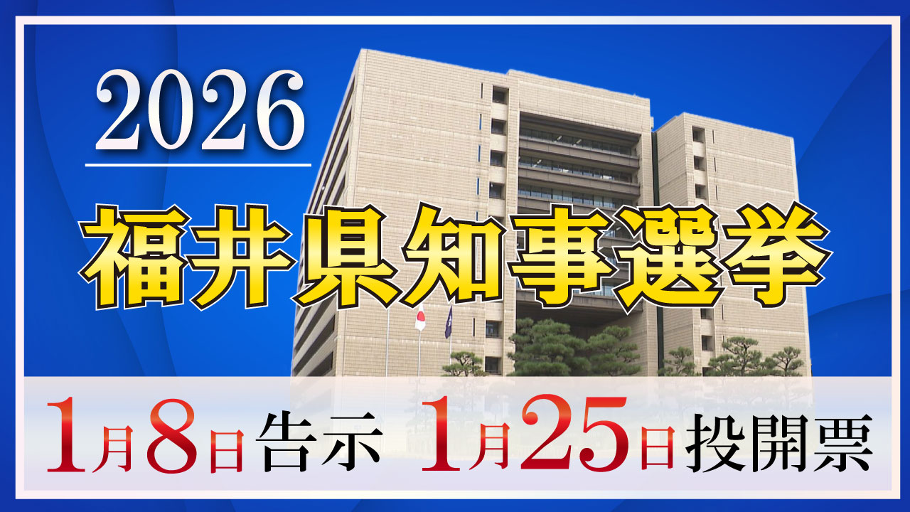福井県知事選挙2026