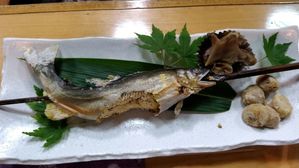 鮎の塩焼き。卵がみっちり・びっしり！食べ応え十分！！