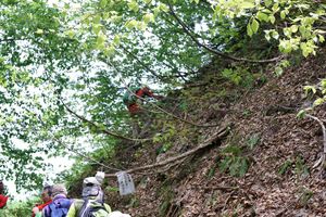 滑りやすい岩もある中、鎖場を登る。