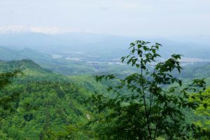 「奥の院」を望める場所からの景色。