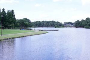 大池公園。気持ちの良い景色が広がる。