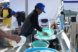 蕎麦を洗うように流水にさらす…