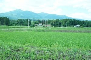 安達太良山を田んぼから望む。残念ながら「ほんとの空」（『智恵子抄』より）は雲の向こうだ。