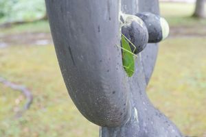 雨宿り中の虫でした。