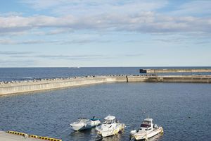 豊かな四倉の海。あの大きく育つほっき貝も、この海が育む。