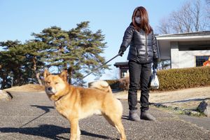 最初に出会ったのは、犬の散歩中の女性。