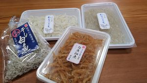 魚匠鈴栄のシラウオ加工品の数々。