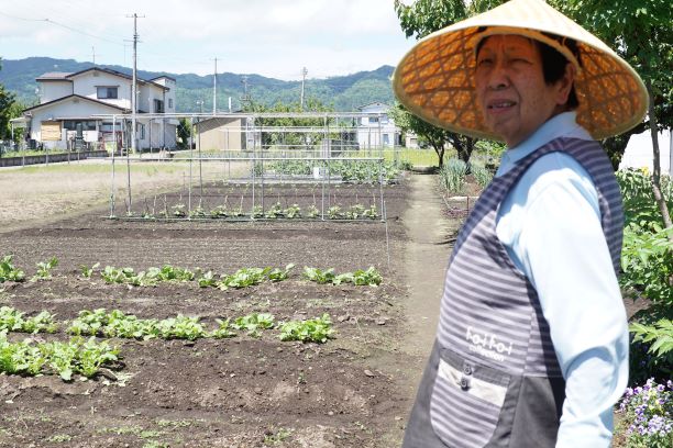 自家製野菜が何種類も育つ。