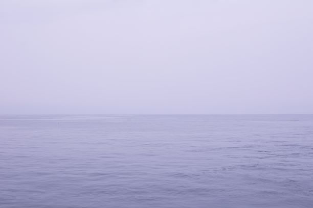 梅雨空なので、全体に雲の色あい。