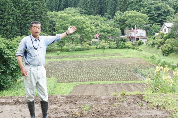 少し高い所からご紹介。