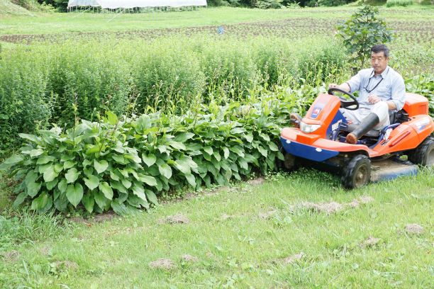 植栽の際まで草を刈れる。