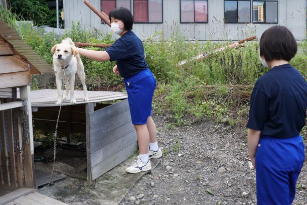 中学生が犬と仲良くなろうとしている…