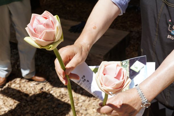 あら、花びらが普通と違う？