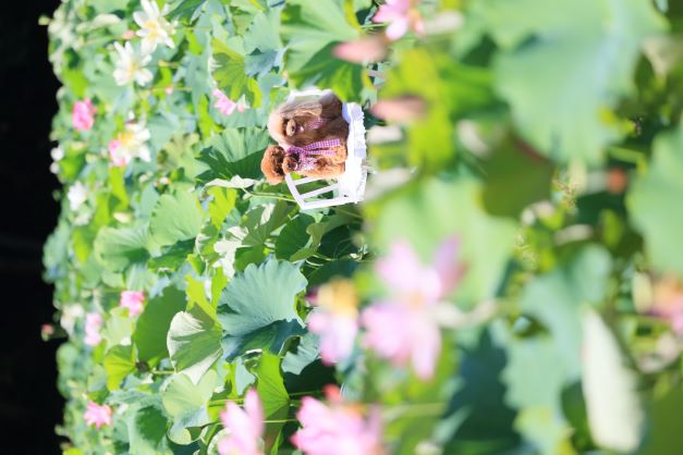 こちらの写真。さすが撮りなれていらっしゃる（提供写真）。