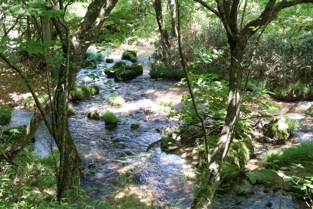 片貝川。暑いにも関わらず、水は結構冷たかった。