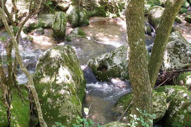 これが河童のすり鉢だ。