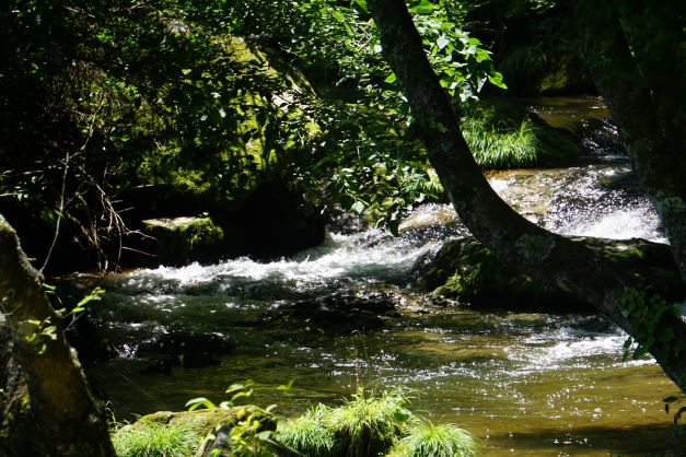 片貝川は、花回地の自然の豊かさの象徴の１つだ。