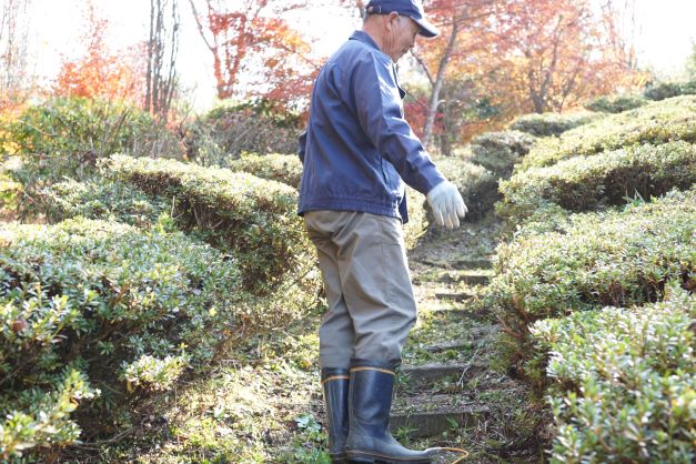 石段も男性の手作り、両脇のツツジは綺麗に刈り揃えてあった。