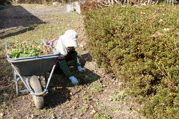 まめに雑草などを抜いていく。