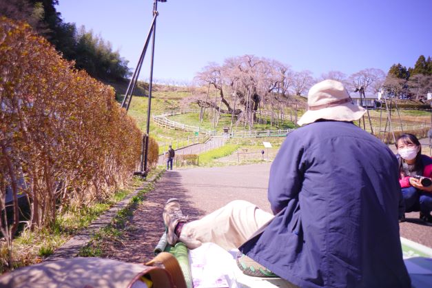 今年は滝桜の生命力を受け止められた。