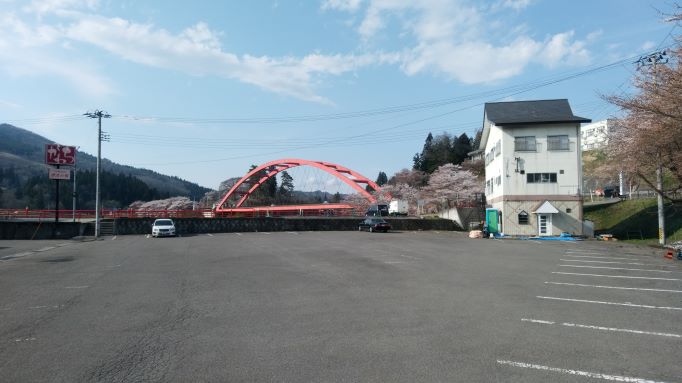 道の駅から見た道路沿いの桜。この時点で見頃だった。