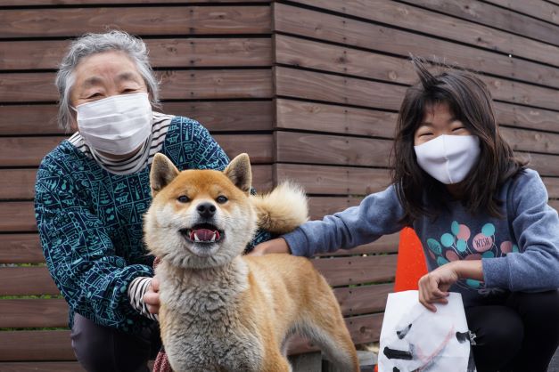 あれ、こちらも柴犬？