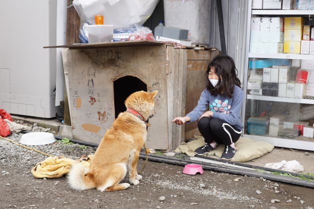 わんこは小屋の前で、きちんとお座り。