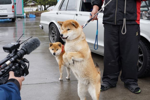 犬好きの方には、たっぷりワンちゃんの写真もご覧いただけました。