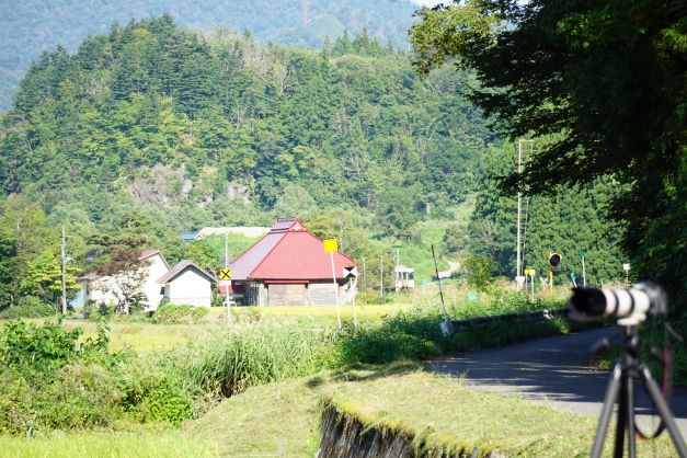 只見線は10月に全線再開通し、バスの代替輸送が終わる。