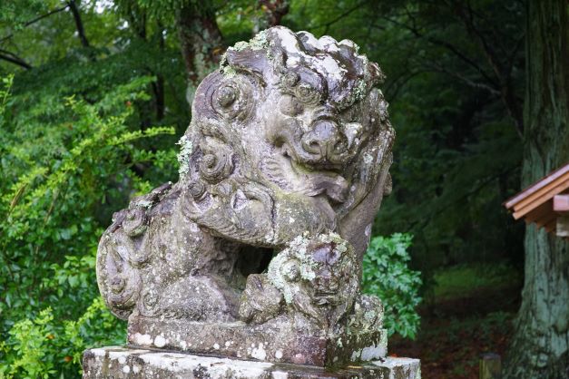 白河神社をはじめ、県南の神社は狛犬が特徴的だ。