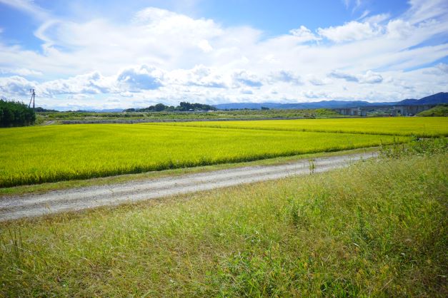 新地町も、実りの秋を迎えた。