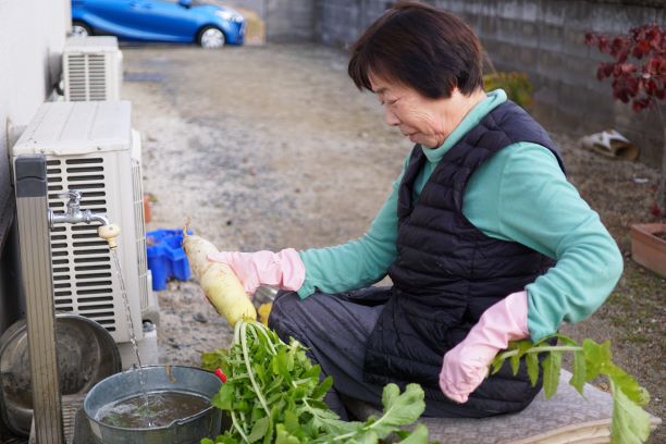 たくあんにする大根洗いを…。