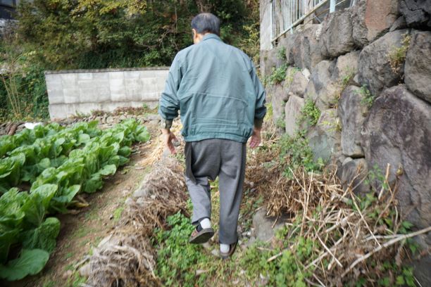 レンガ橋が見える所へ案内して下さった。