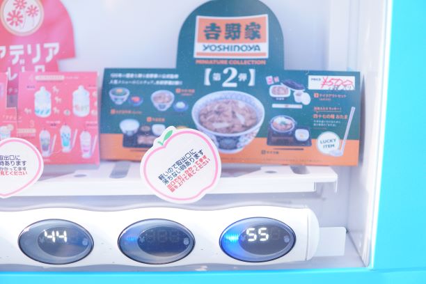 よく読まないと、値段的にも牛丼が買えるっぽいので…。