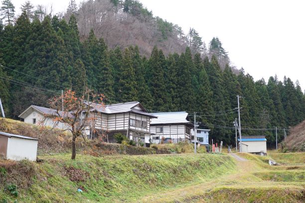 斎藤清の絵でもおなじみ、柳津の風景には柿が良く似合う。