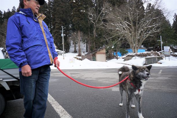 秋田犬と一緒に大山祇神社へ。