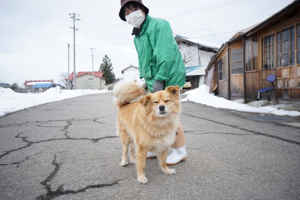 またワンちゃんと遭遇。