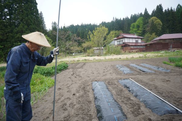 お子さん達は、ビニールハウス作りに入る。