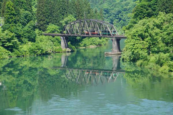 今度は上の送電線も切ってみた。