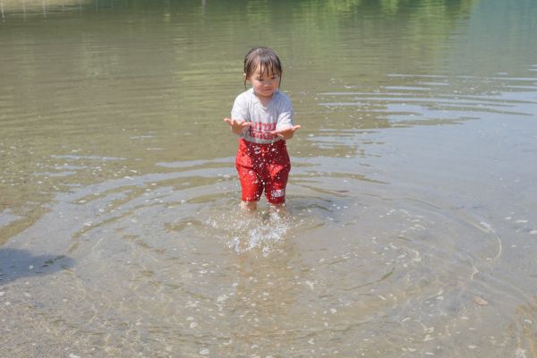 水を持ち上げてみる⁉
