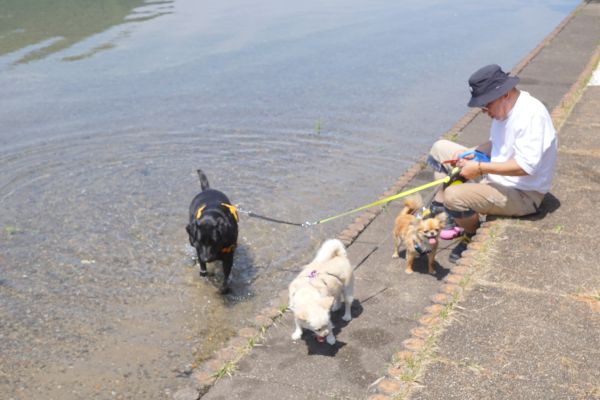 こちらも沼沢湖を堪能⁉