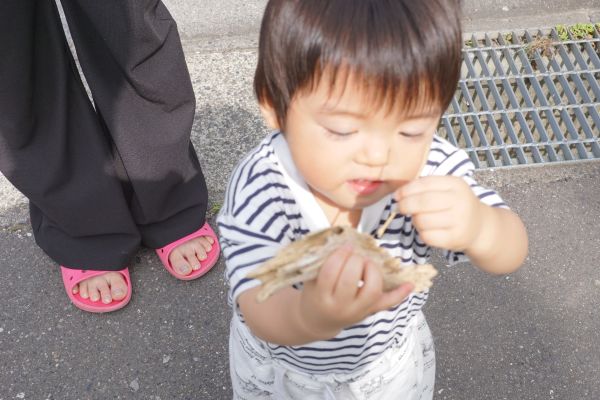 お子さんは庭で拾った木を割き…