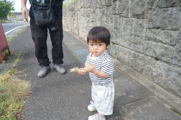 お母さんに話を聞く間、家の近くへの“探検”は続いた。
