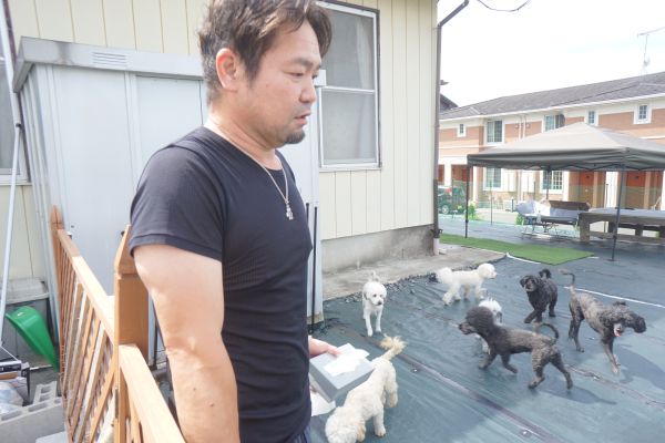動物は“装う事がない”から良いのだそう。