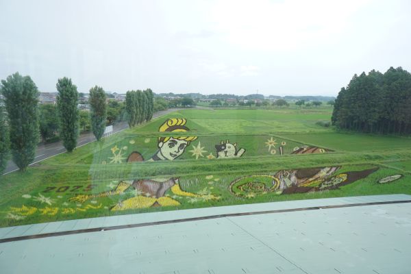 田んぼアートのテーマは「シンデレラ」。