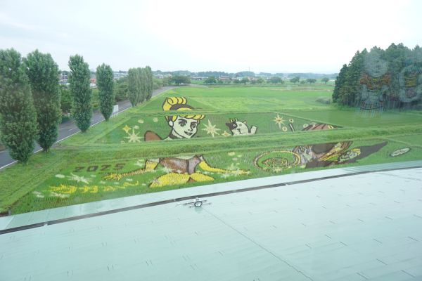 実際の田んぼアート。忠実に再現されている。